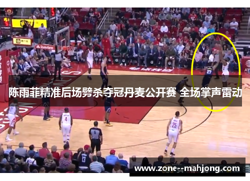 陈雨菲精准后场劈杀夺冠丹麦公开赛 全场掌声雷动
